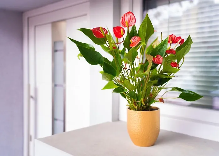 Pod Velbi Apartmán *